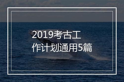 2019考古工作计划通用5篇