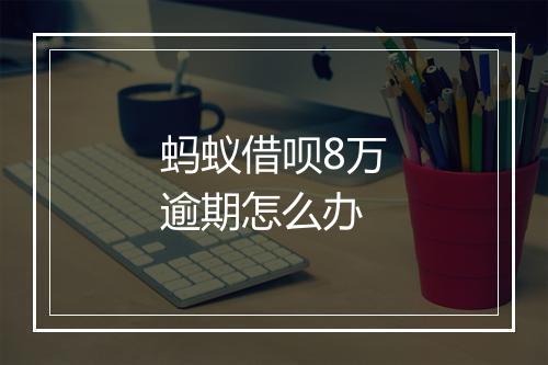 蚂蚁借呗8万逾期怎么办