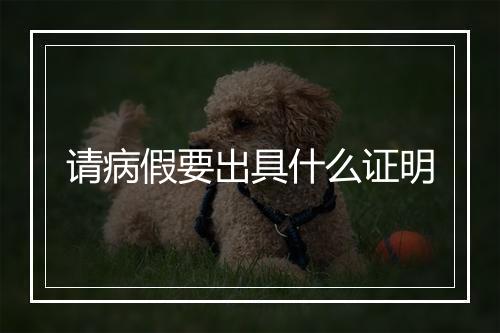 请病假要出具什么证明