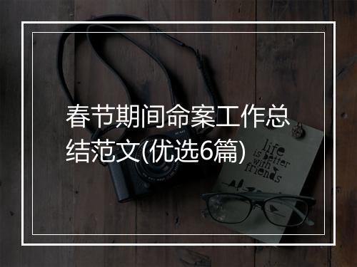 春节期间命案工作总结范文(优选6篇)