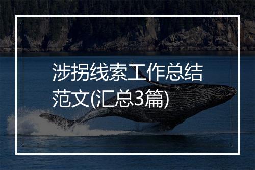 涉拐线索工作总结范文(汇总3篇)