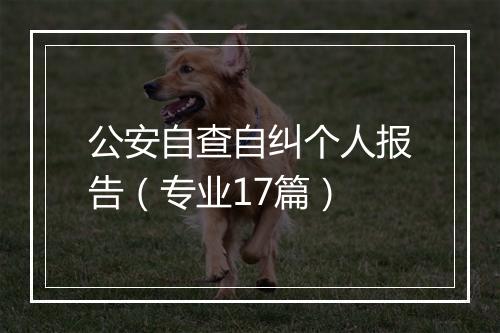 公安自查自纠个人报告（专业17篇）
