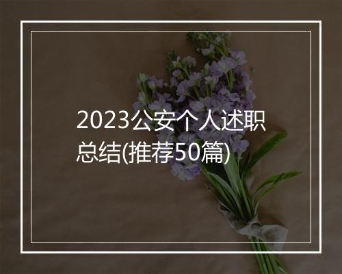 2023公安个人述职总结(推荐50篇)