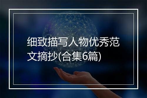 细致描写人物优秀范文摘抄(合集6篇)