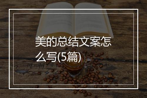 美的总结文案怎么写(5篇)