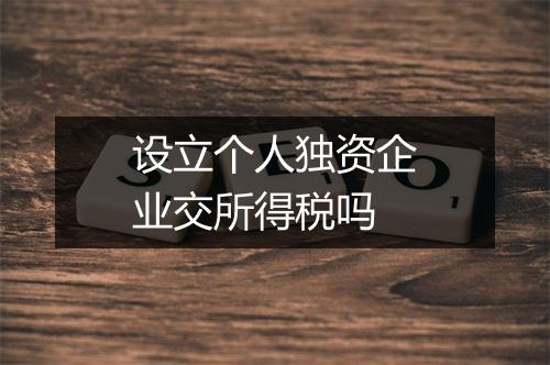设立个人独资企业交所得税吗