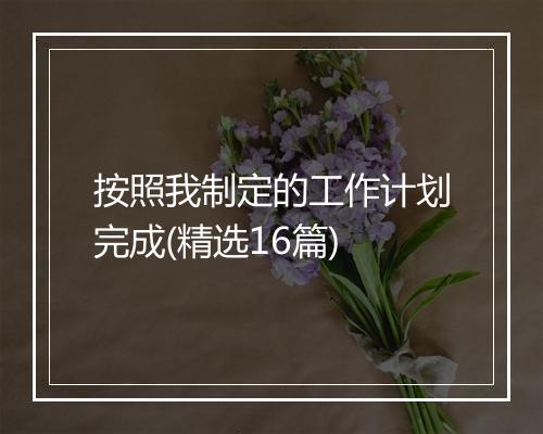 按照我制定的工作计划完成(精选16篇)