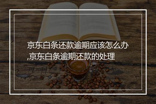 京东白条还款逾期应该怎么办,京东白条逾期还款的处理