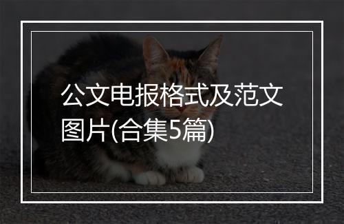 公文电报格式及范文图片(合集5篇)