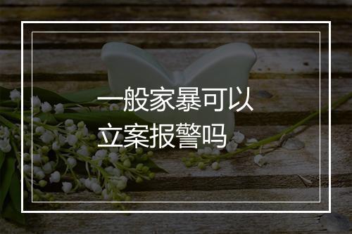 一般家暴可以立案报警吗