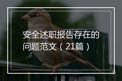 安全述职报告存在的问题范文（21篇）