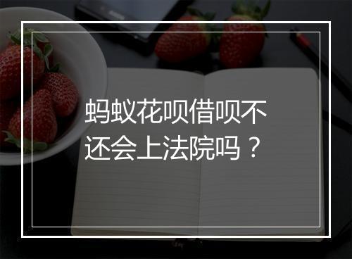 蚂蚁花呗借呗不还会上法院吗？