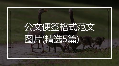 公文便签格式范文图片(精选5篇)