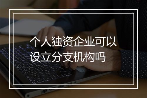 个人独资企业可以设立分支机构吗