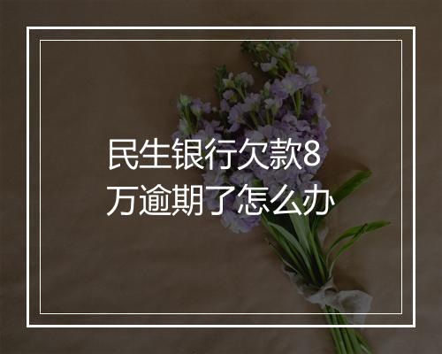 民生银行欠款8万逾期了怎么办