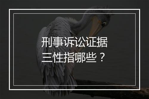 刑事诉讼证据三性指哪些？