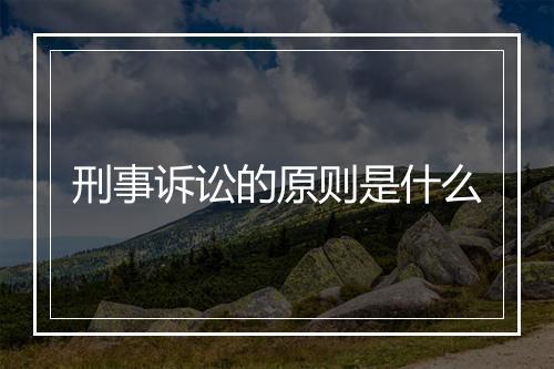 刑事诉讼的原则是什么