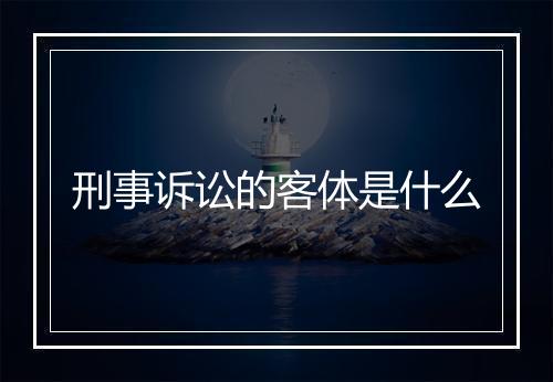 刑事诉讼的客体是什么