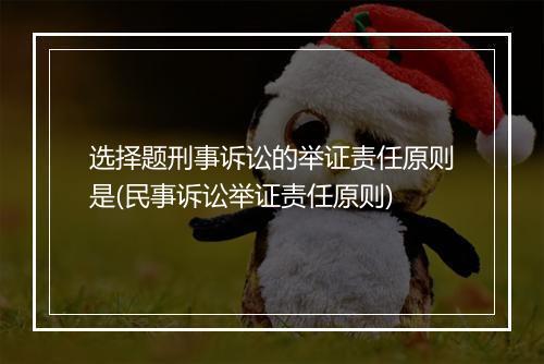 选择题刑事诉讼的举证责任原则是(民事诉讼举证责任原则)