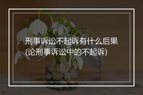 刑事诉讼不起诉有什么后果(论刑事诉讼中的不起诉)