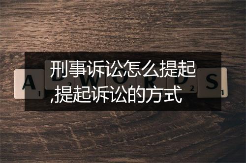 刑事诉讼怎么提起,提起诉讼的方式