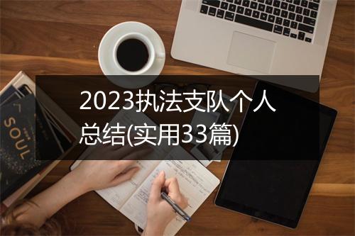 2023执法支队个人总结(实用33篇)
