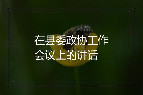 在县委政协工作会议上的讲话