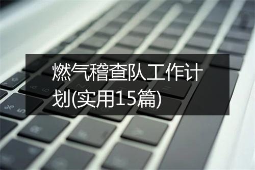 燃气稽查队工作计划(实用15篇)