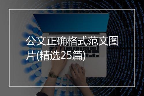 公文正确格式范文图片(精选25篇)