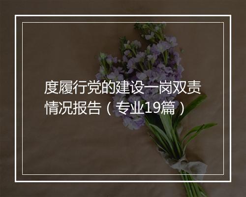 度履行党的建设一岗双责情况报告（专业19篇）