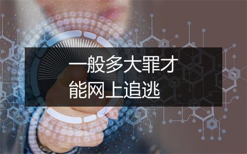 一般多大罪才能网上追逃