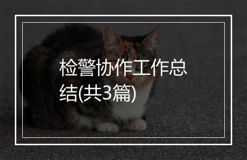检警协作工作总结(共3篇)