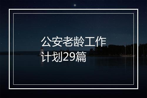 公安老龄工作计划29篇