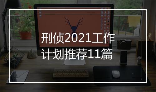 刑侦2021工作计划推荐11篇