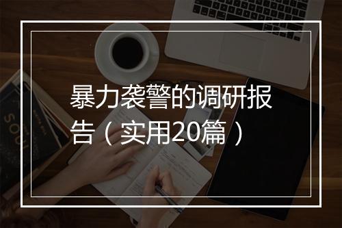 暴力袭警的调研报告（实用20篇）