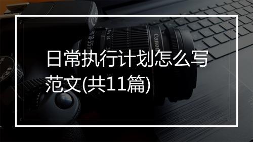 日常执行计划怎么写范文(共11篇)