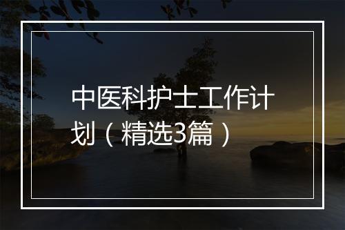 中医科护士工作计划（精选3篇）