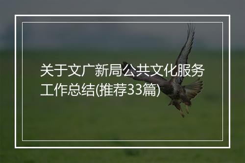 关于文广新局公共文化服务工作总结(推荐33篇)