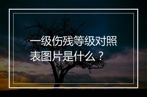 一级伤残等级对照表图片是什么？