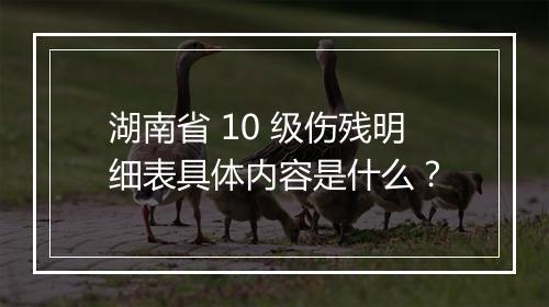 湖南省 10 级伤残明细表具体内容是什么？