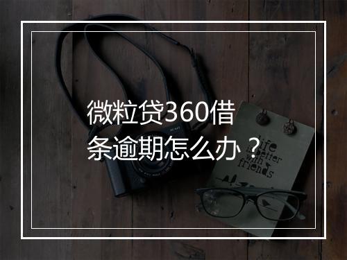 微粒贷360借条逾期怎么办？