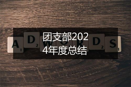 团支部2024年度总结