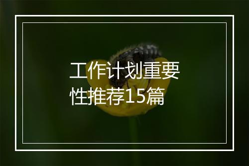 工作计划重要性推荐15篇