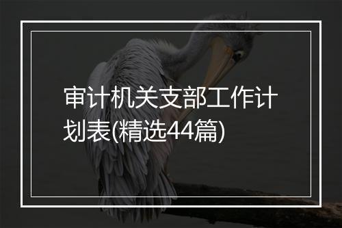 审计机关支部工作计划表(精选44篇)