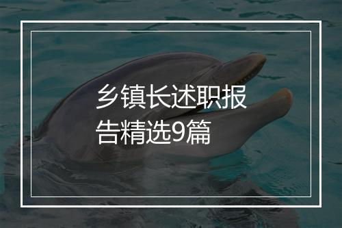乡镇长述职报告精选9篇