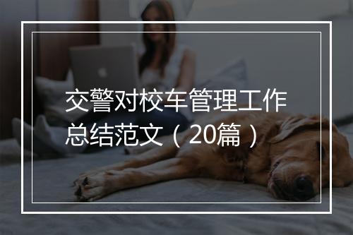 交警对校车管理工作总结范文（20篇）