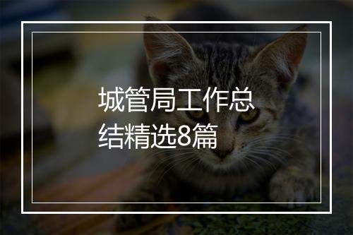 城管局工作总结精选8篇