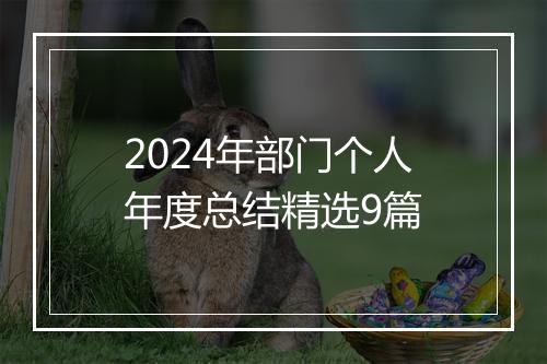 2024年部门个人年度总结精选9篇