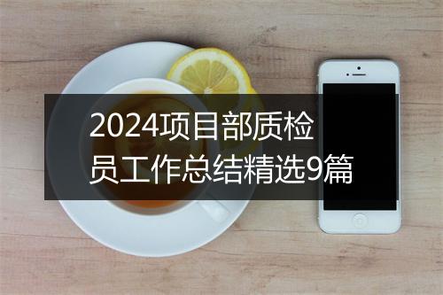 2024项目部质检员工作总结精选9篇