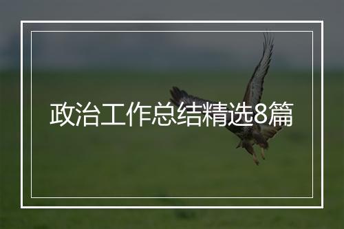 政治工作总结精选8篇